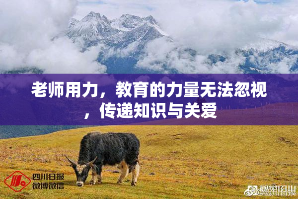 老师用力，教育的力量无法忽视，传递知识与关爱
