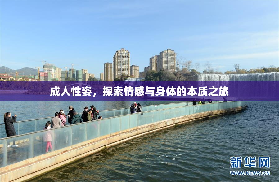 成人性姿，探索情感与身体的本质之旅
