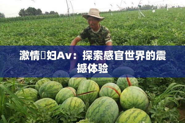激情婬妇Av：探索感官世界的震撼体验