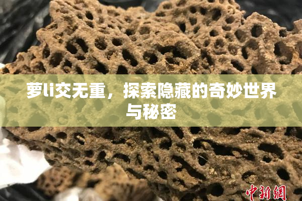 萝li交无重，探索隐藏的奇妙世界与秘密