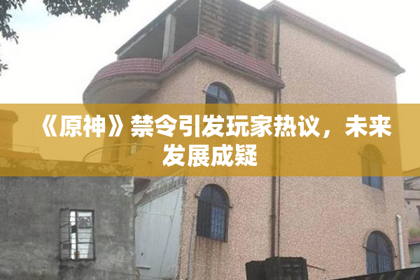 《原神》禁令引发玩家热议，未来发展成疑