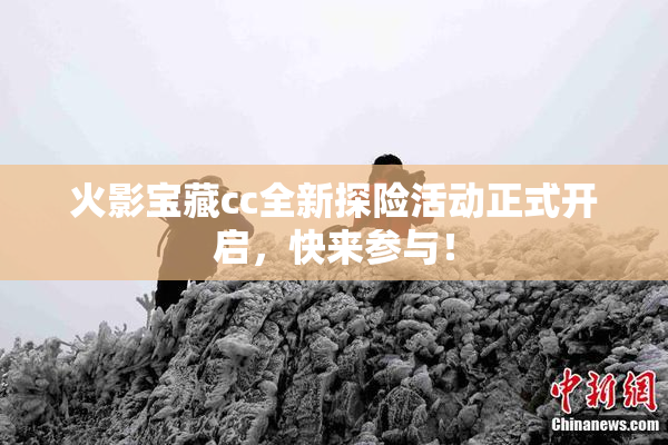 火影宝藏cc全新探险活动正式开启，快来参与！