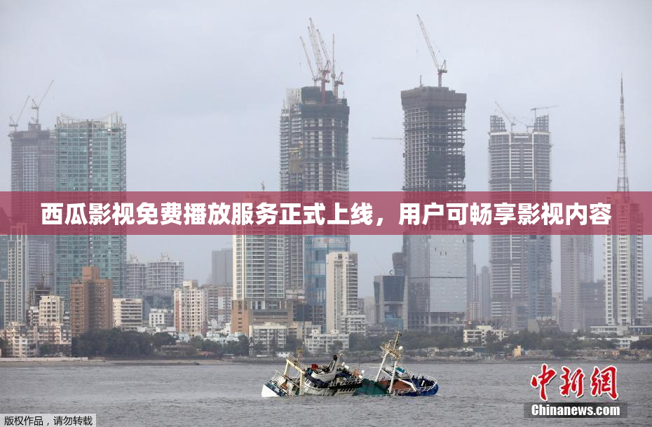 西瓜影视免费播放服务正式上线，用户可畅享影视内容
