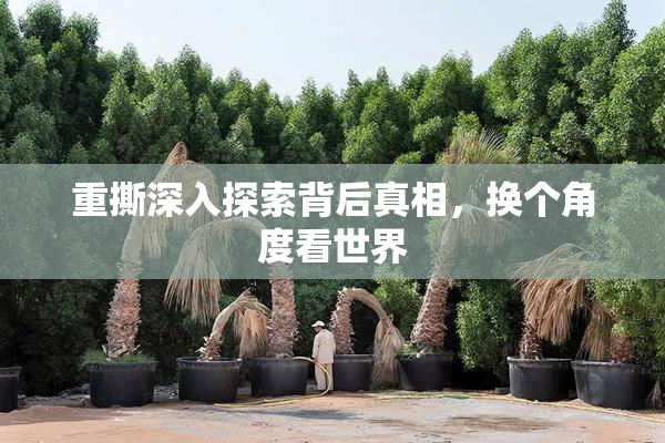 重撕深入探索背后真相，换个角度看世界