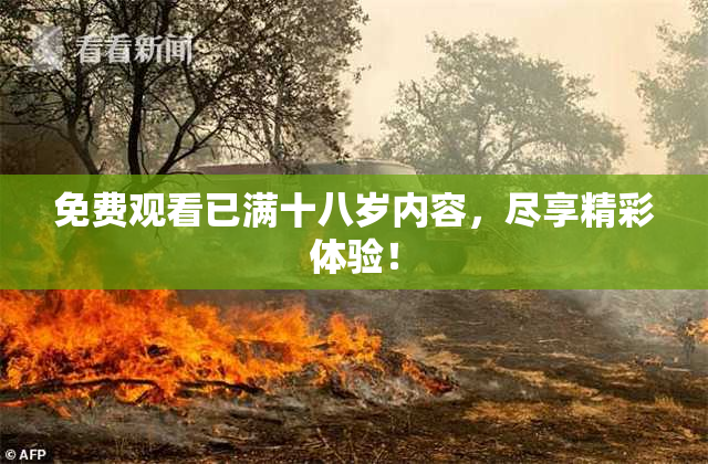 免费观看已满十八岁内容，尽享精彩体验！