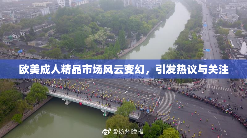 欧美成人精品市场风云变幻，引发热议与关注