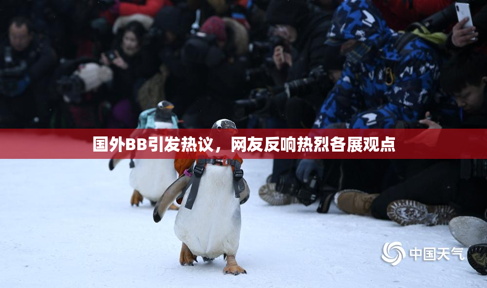 国外BB引发热议，网友反响热烈各展观点