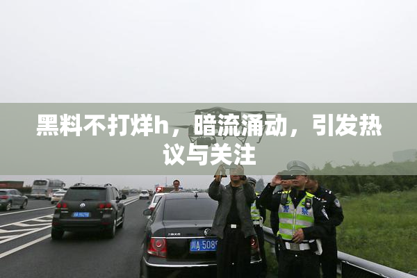 黑料不打烊h，暗流涌动，引发热议与关注
