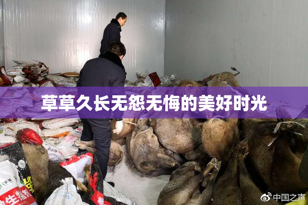 草草久长无怨无悔的美好时光