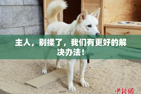 主人，别揉了，我们有更好的解决办法！
