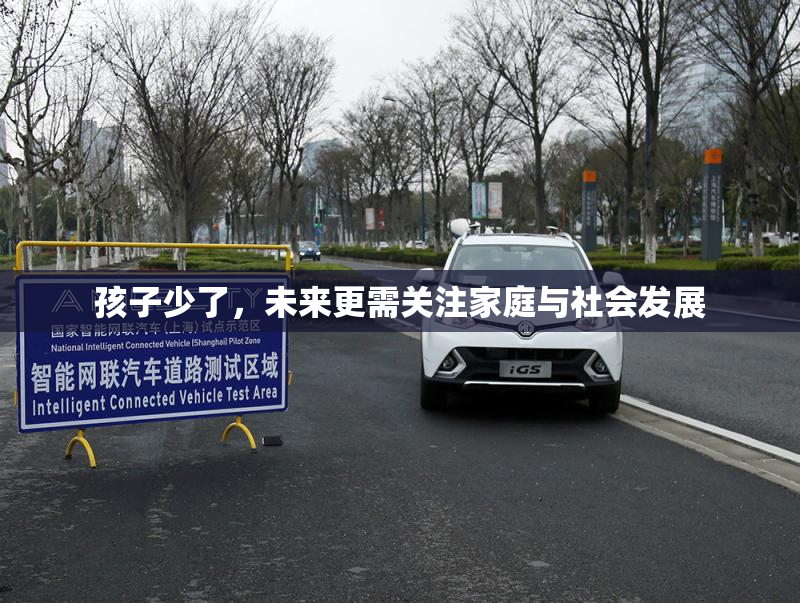 孩子少了，未来更需关注家庭与社会发展