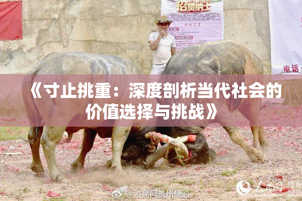 《寸止挑重：深度剖析当代社会的价值选择与挑战》