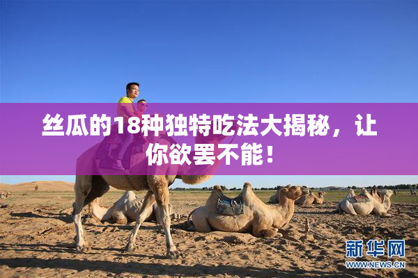 丝瓜的18种独特吃法大揭秘，让你欲罢不能！