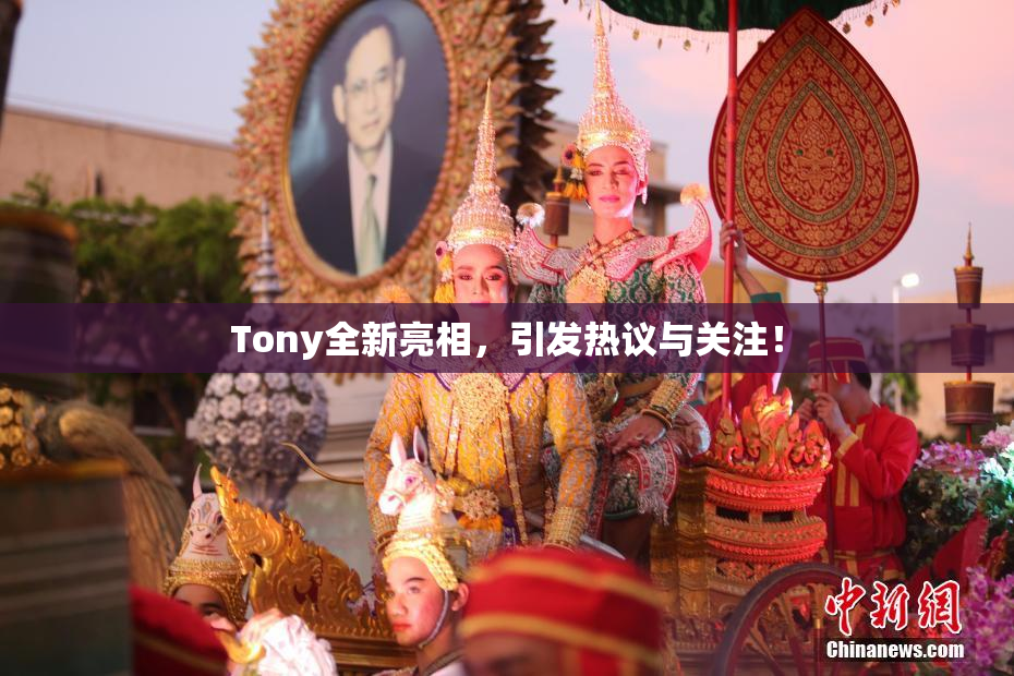 Tony全新亮相，引发热议与关注！