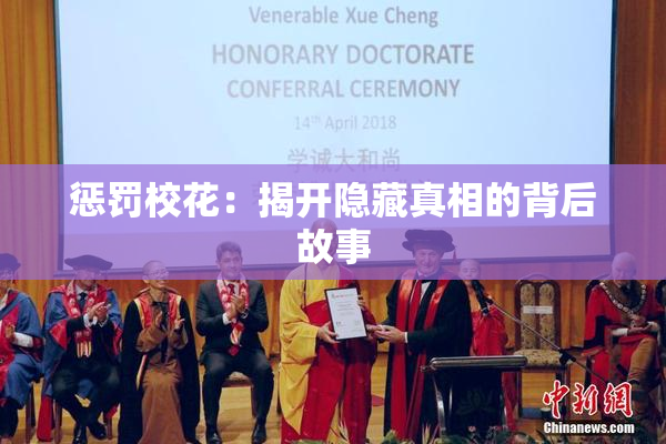 惩罚校花：揭开隐藏真相的背后故事