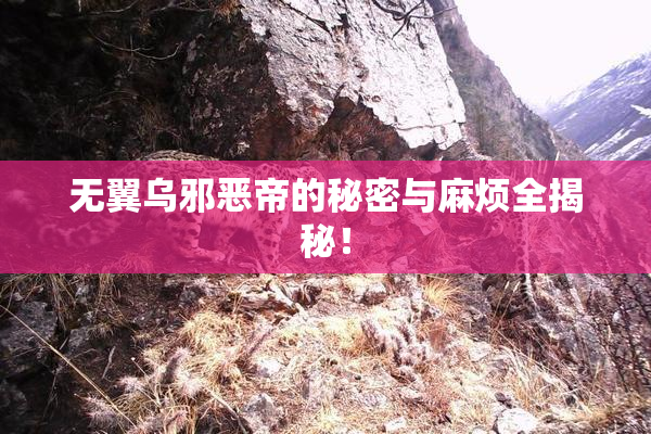 无翼乌邪恶帝的秘密与麻烦全揭秘！