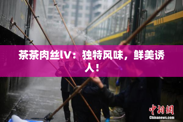 茶茶肉丝lV：独特风味，鲜美诱人！