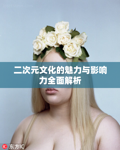 二次元文化的魅力与影响力全面解析