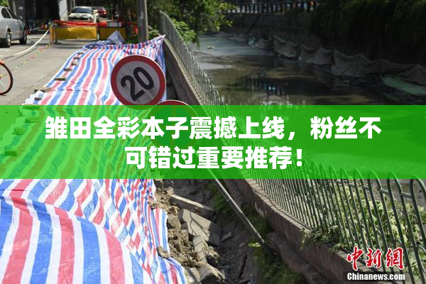 雏田全彩本子震撼上线，粉丝不可错过重要推荐！