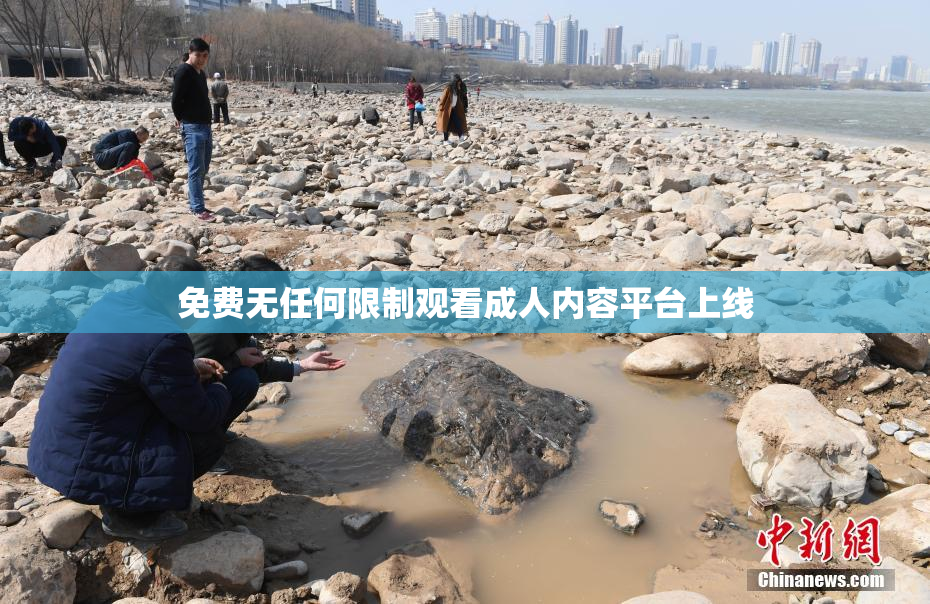 免费无任何限制观看成人内容平台上线