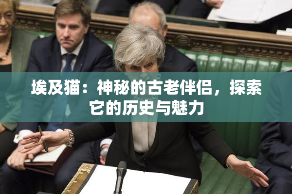 埃及猫：神秘的古老伴侣，探索它的历史与魅力