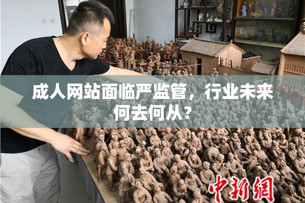 成人网站面临严监管，行业未来何去何从？