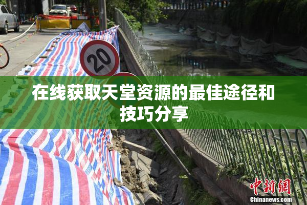在线获取天堂资源的最佳途径和技巧分享