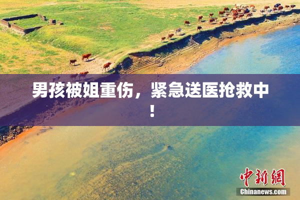 男孩被姐重伤，紧急送医抢救中！