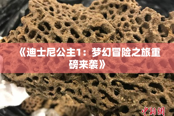 《迪士尼公主1：梦幻冒险之旅重磅来袭》