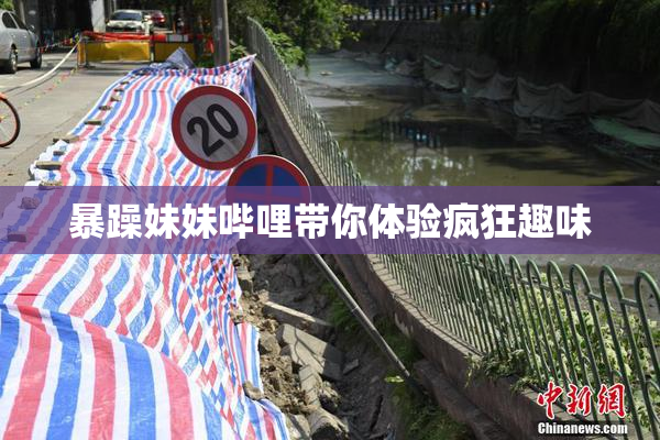 暴躁妹妹哔哩带你体验疯狂趣味