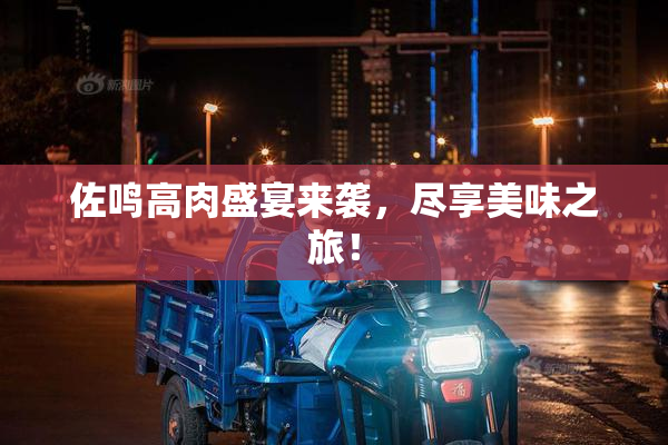 佐鸣高肉盛宴来袭，尽享美味之旅！