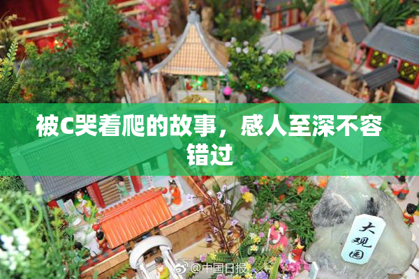 被C哭着爬的故事，感人至深不容错过