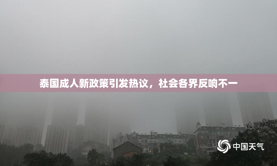 泰国成人新政策引发热议，社会各界反响不一