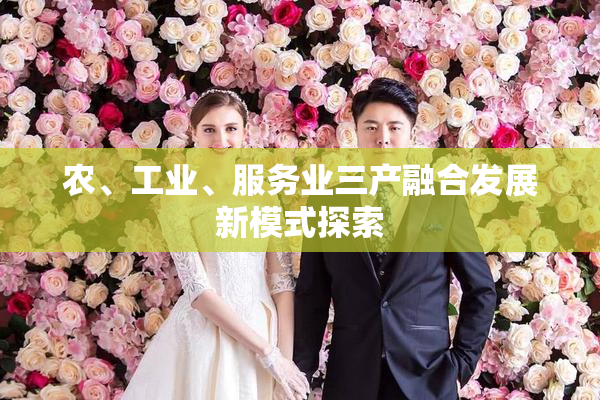 农、工业、服务业三产融合发展新模式探索
