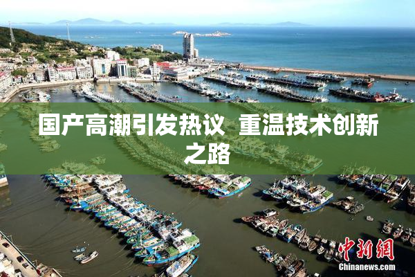 国产高潮引发热议  重温技术创新之路