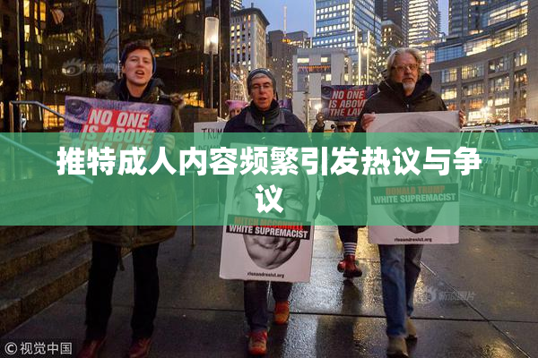 推特成人内容频繁引发热议与争议