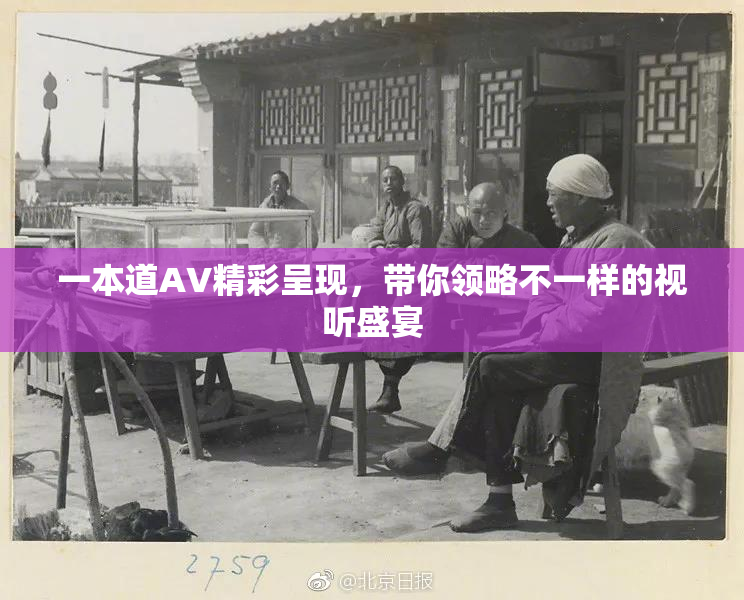 一本道AV精彩呈现，带你领略不一样的视听盛宴