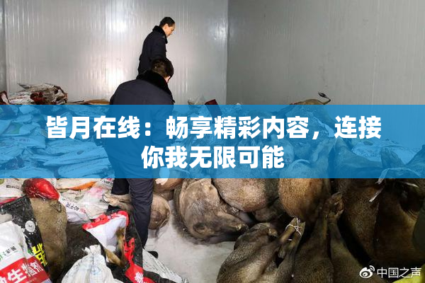 皆月在线：畅享精彩内容，连接你我无限可能