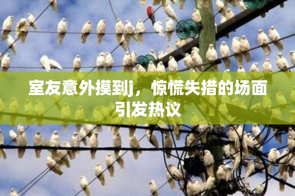室友意外摸到j，惊慌失措的场面引发热议