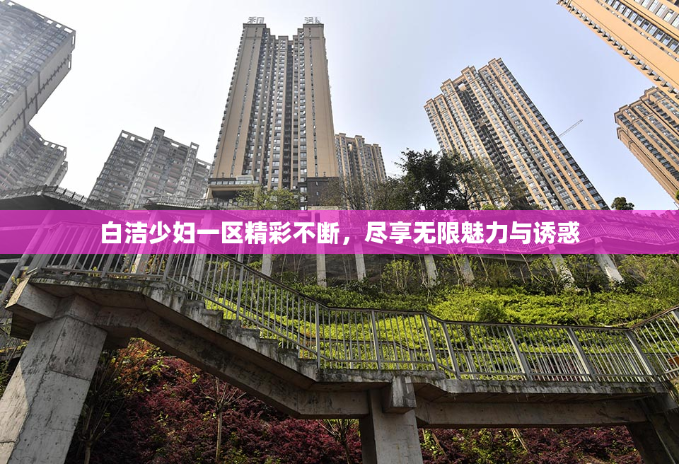 白洁少妇一区精彩不断，尽享无限魅力与诱惑