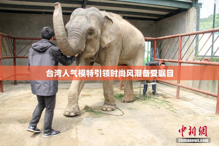 台湾人气模特引领时尚风潮备受瞩目