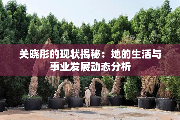 关晓彤的现状揭秘：她的生活与事业发展动态分析