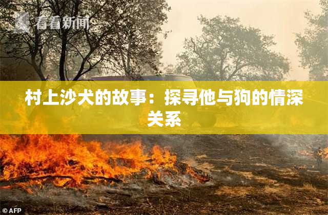 村上沙犬的故事：探寻他与狗的情深关系