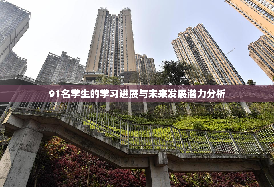 91名学生的学习进展与未来发展潜力分析