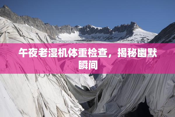 午夜老湿机体重检查，揭秘幽默瞬间