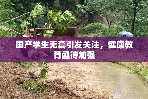 国产学生无套引发关注，健康教育亟待加强
