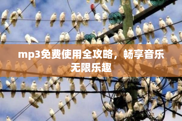mp3免费使用全攻略，畅享音乐无限乐趣