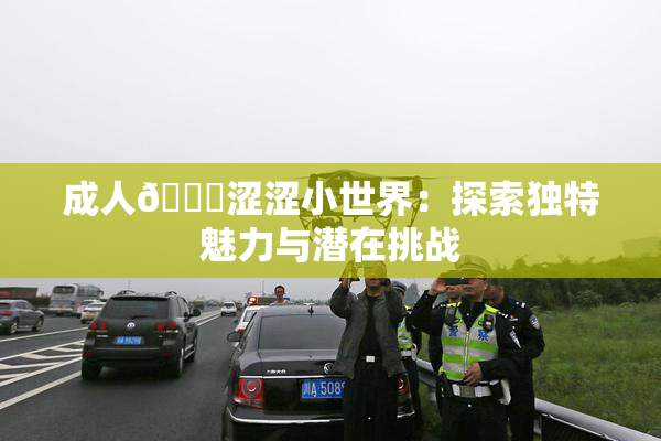 成人🔞涩涩小世界：探索独特魅力与潜在挑战