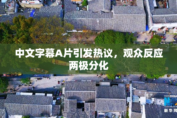 中文字幕A片引发热议，观众反应两极分化