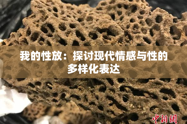 我的性放：探讨现代情感与性的多样化表达